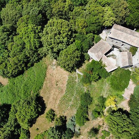 Mas Des Nabieres Bed & Breakfast Saint-Martial  Bagian luar foto