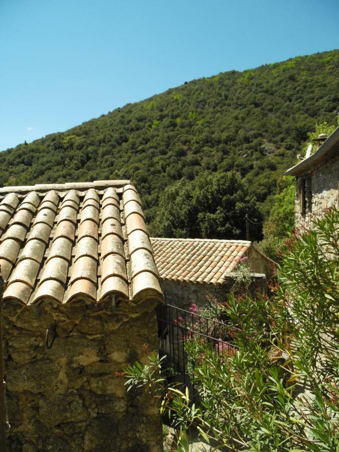 Mas Des Nabieres Bed & Breakfast Saint-Martial  Bagian luar foto