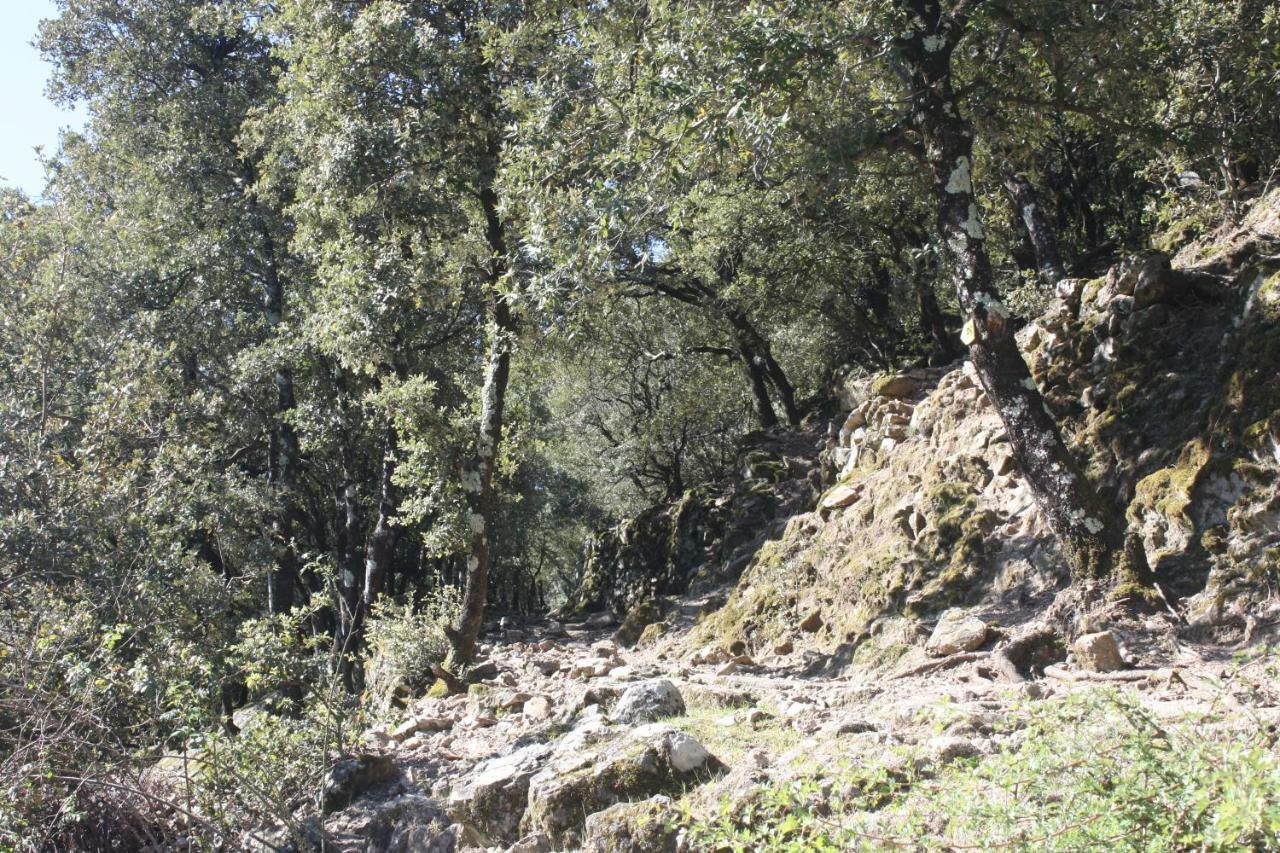 Mas Des Nabieres Bed & Breakfast Saint-Martial  Bagian luar foto
