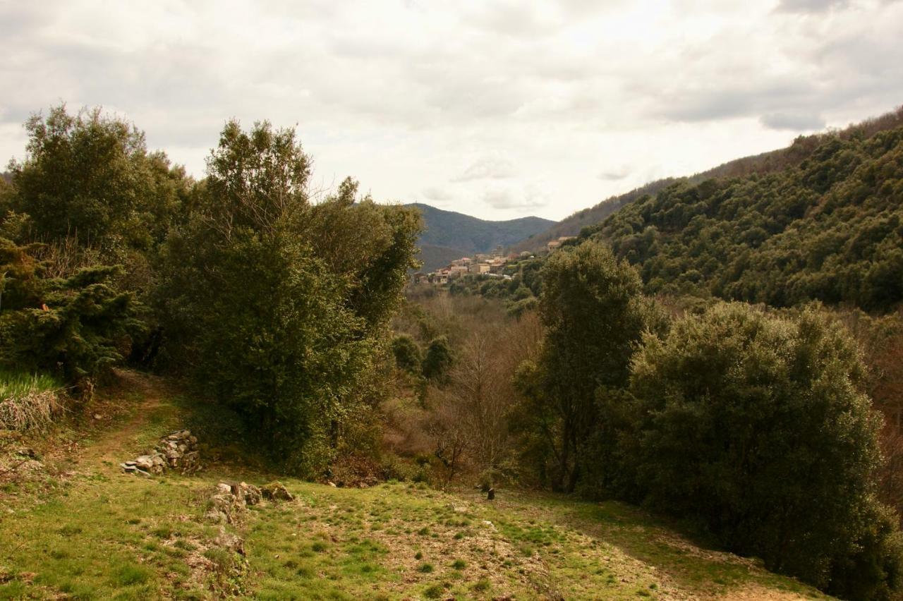 Mas Des Nabieres Bed & Breakfast Saint-Martial  Bagian luar foto