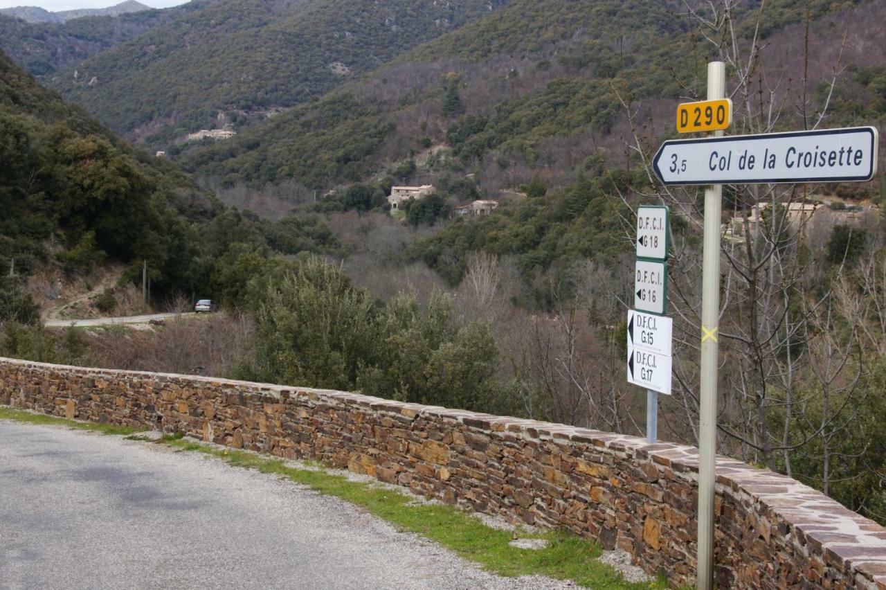 Mas Des Nabieres Bed & Breakfast Saint-Martial  Bagian luar foto